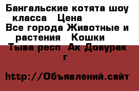 Бангальские котята шоу класса › Цена ­ 25 000 - Все города Животные и растения » Кошки   . Тыва респ.,Ак-Довурак г.